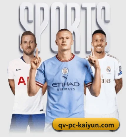 五大服务分区,信息按项目分类 - 多运动项目内容板块(kaiyun sports)